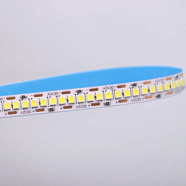 DC12V/24V 10mm 5M/Roll 2835 80Ra सफेद पीसीबी और 120° बीम कोण के साथ एलईडी पट्टी